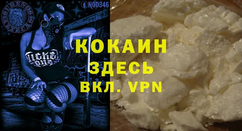 где можно купить   Каменка  Cocaine 97% 